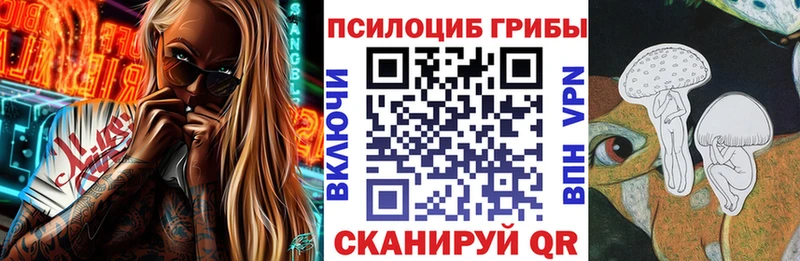 Галлюциногенные грибы Psilocybine cubensis Среднеколымск